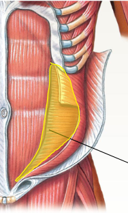 <p>What is highlighted</p>
