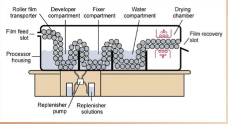 <ol><li><p>Uses a roller transport system to move dental x-ray through developer, fixer, water, and drying compartments.</p></li><li><p>Processor housing</p></li><li><p>Film feed slot</p></li><li><p>Roller film transporter</p></li><li><p>Developer compartment</p></li></ol><p></p>
