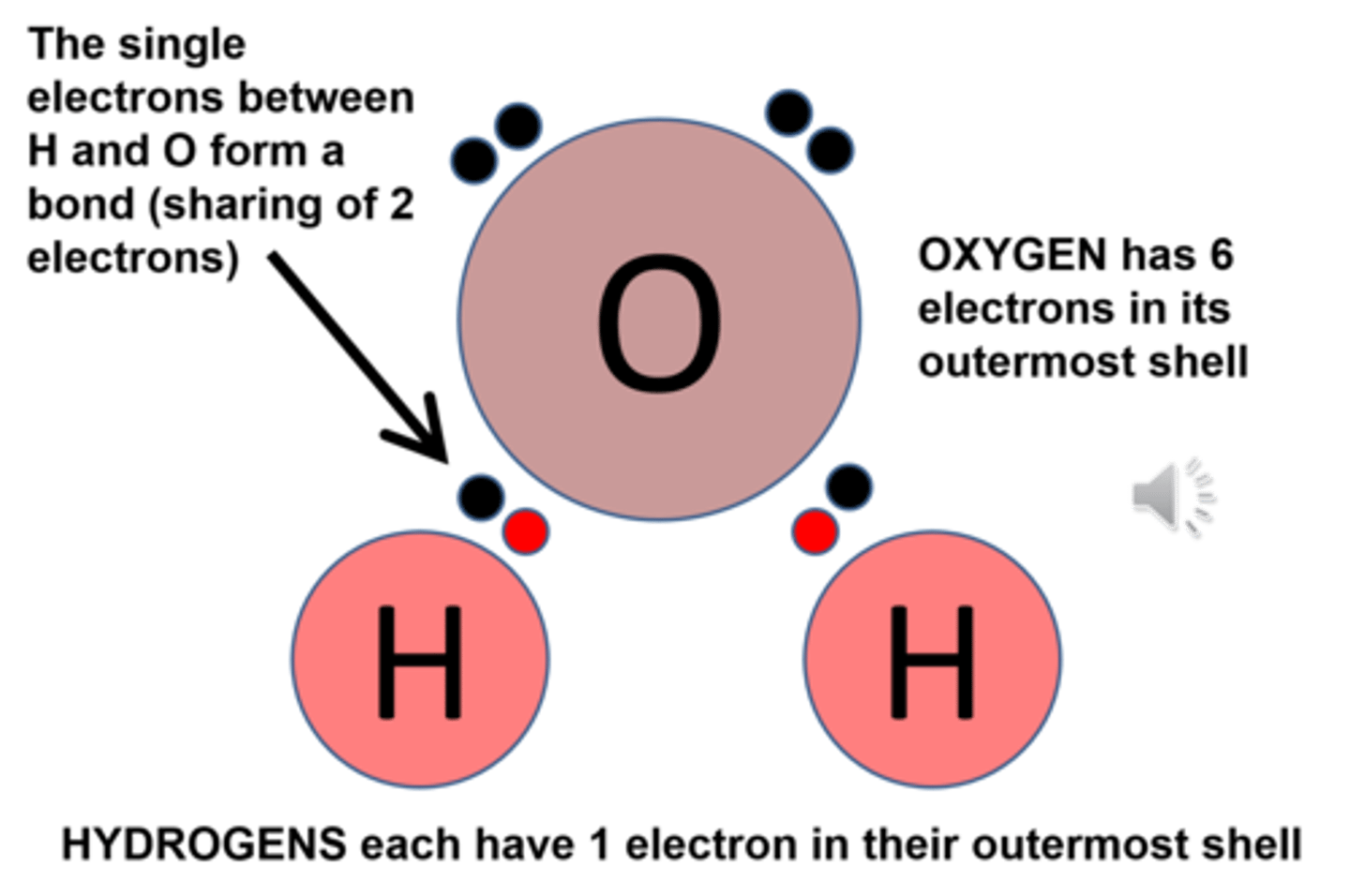 <p>Attraction between water molecules due to polarity</p>