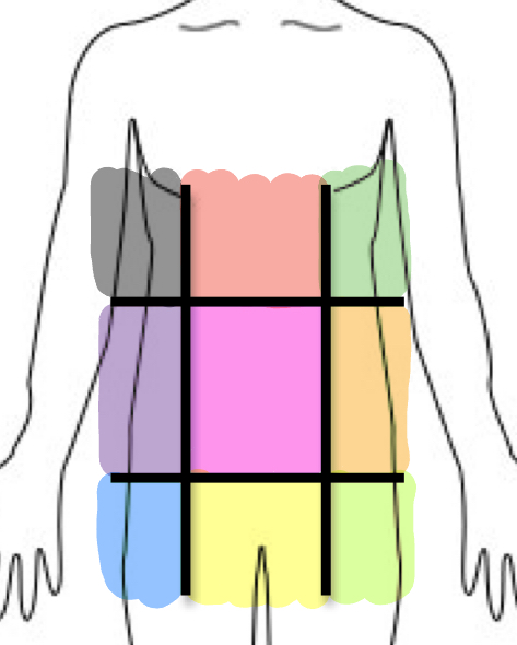 <p>Where is the right lumbar region</p>