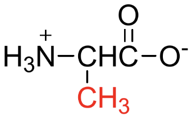 <p>Name, Type (A/N/B), Polarity</p>