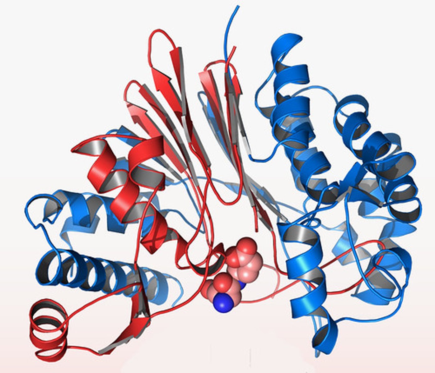 <p>The third level of protein structure; the overall, three-dimensional shape of a polypeptide due to interactions of the R groups of the amino acids making up the chain.</p>