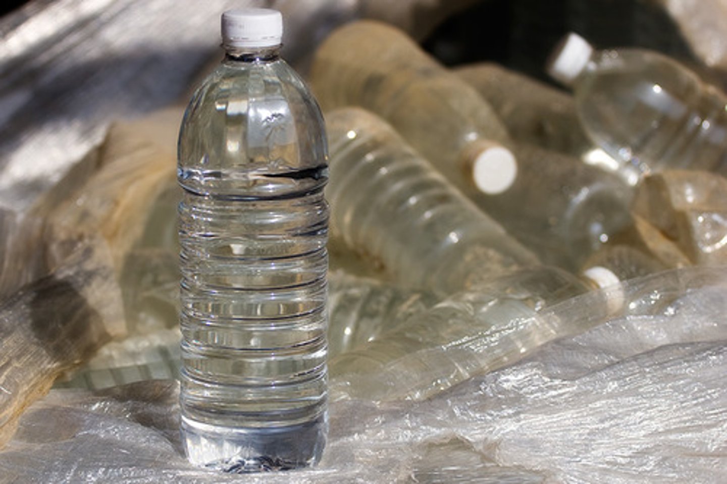 <p>water</p>