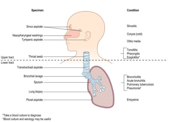 <p>Can you label, describe and explain what this diagram is/shows?</p>