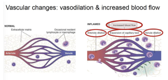 <p>Overall Alternative Function </p>