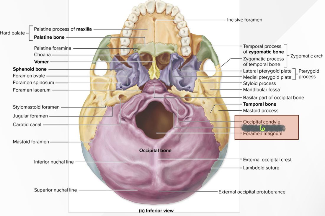 What structure is 6?