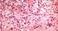 <p>identify</p>