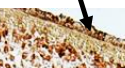 <p>What is this image pointing to?</p>