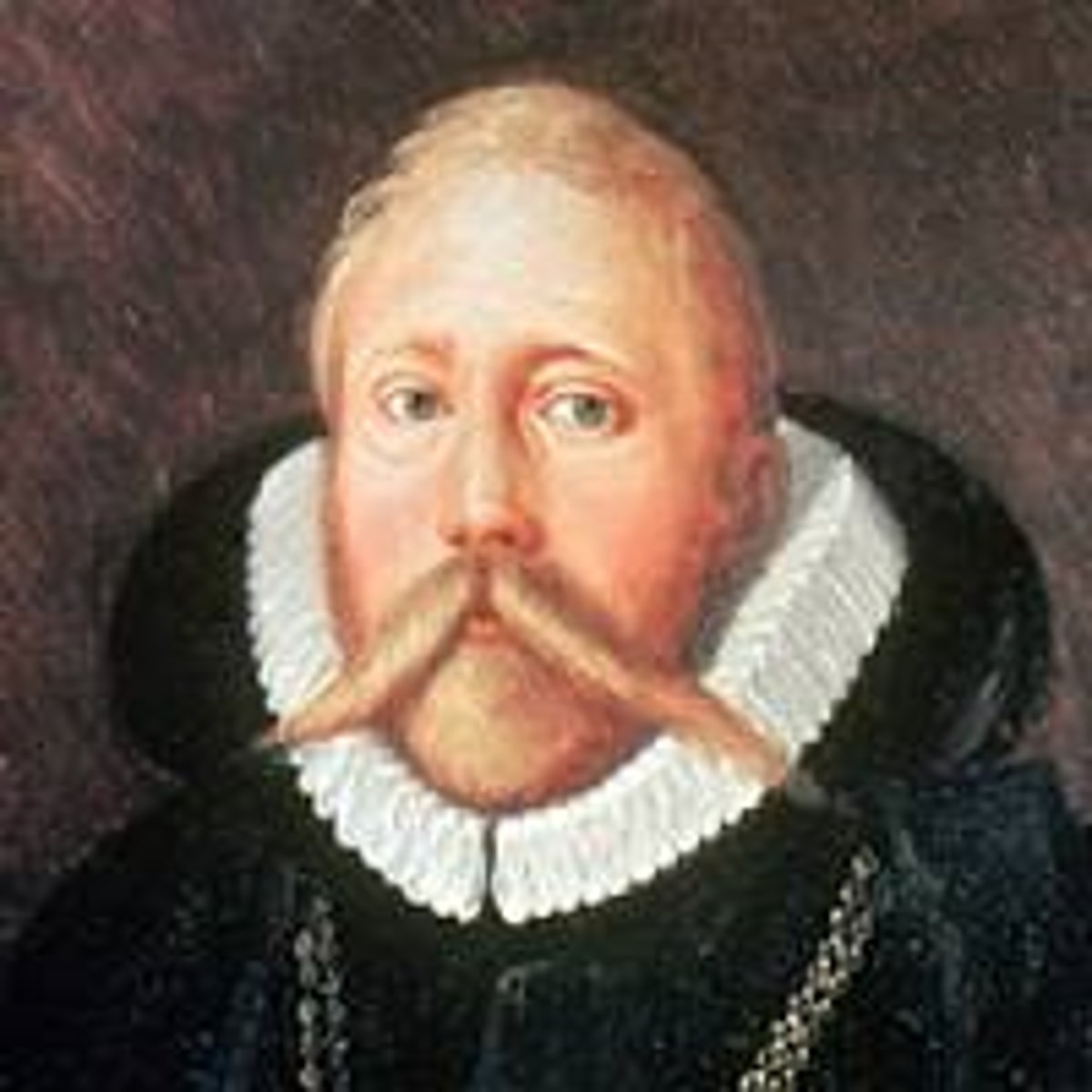 <p>He believed that other planets revolved around the Sun, but that the Sun and Moon revolved around the Earth.</p>