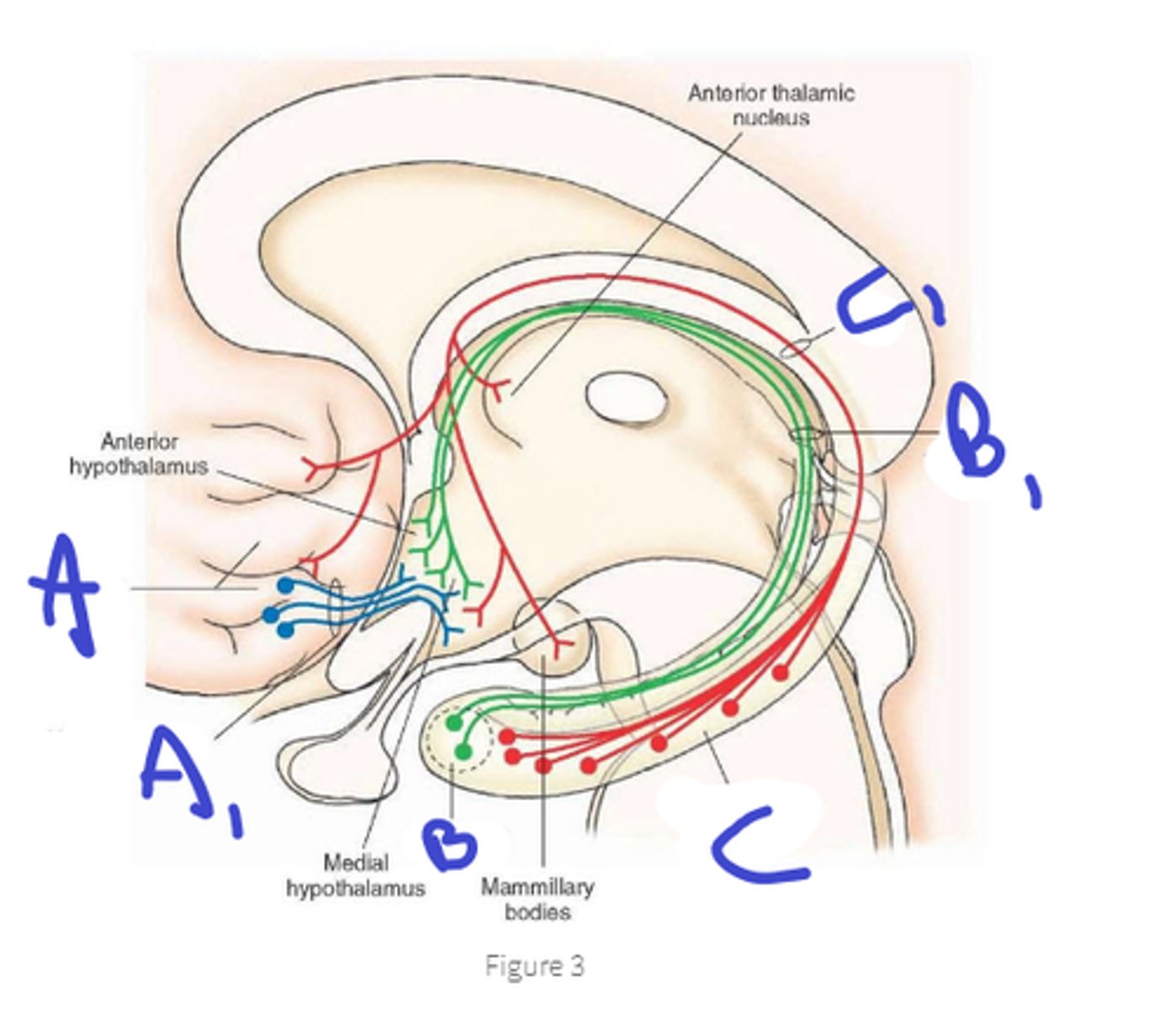 <p>b, name area and tract</p>