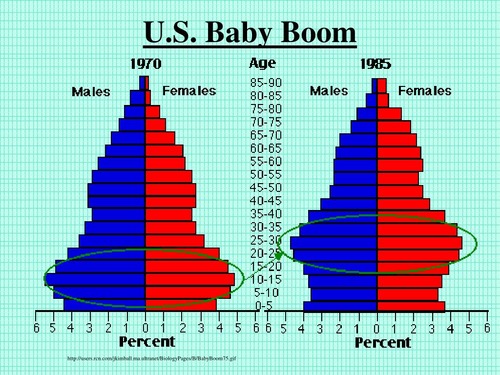 <p>Baby boom</p>