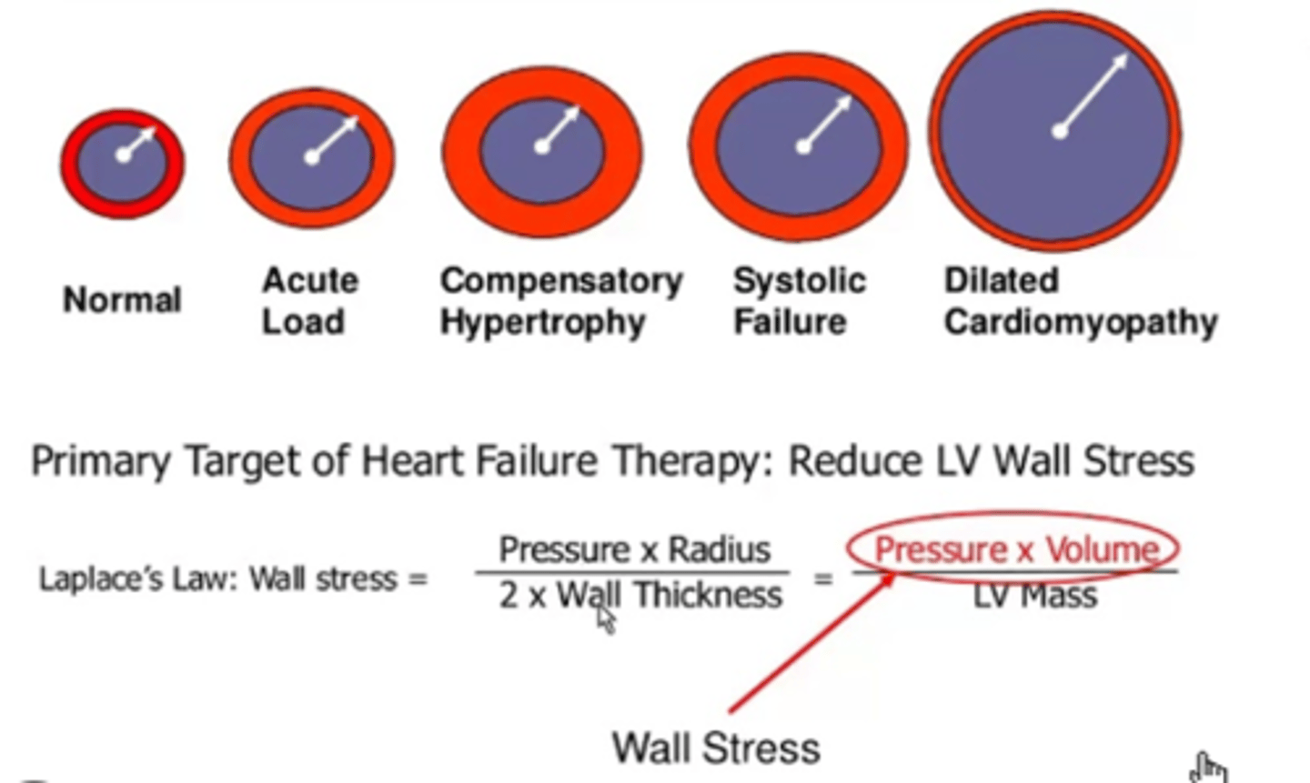 <p>The stress in a cavity is proportional to the pressure and the radius and inversely proportional to the thickness</p>