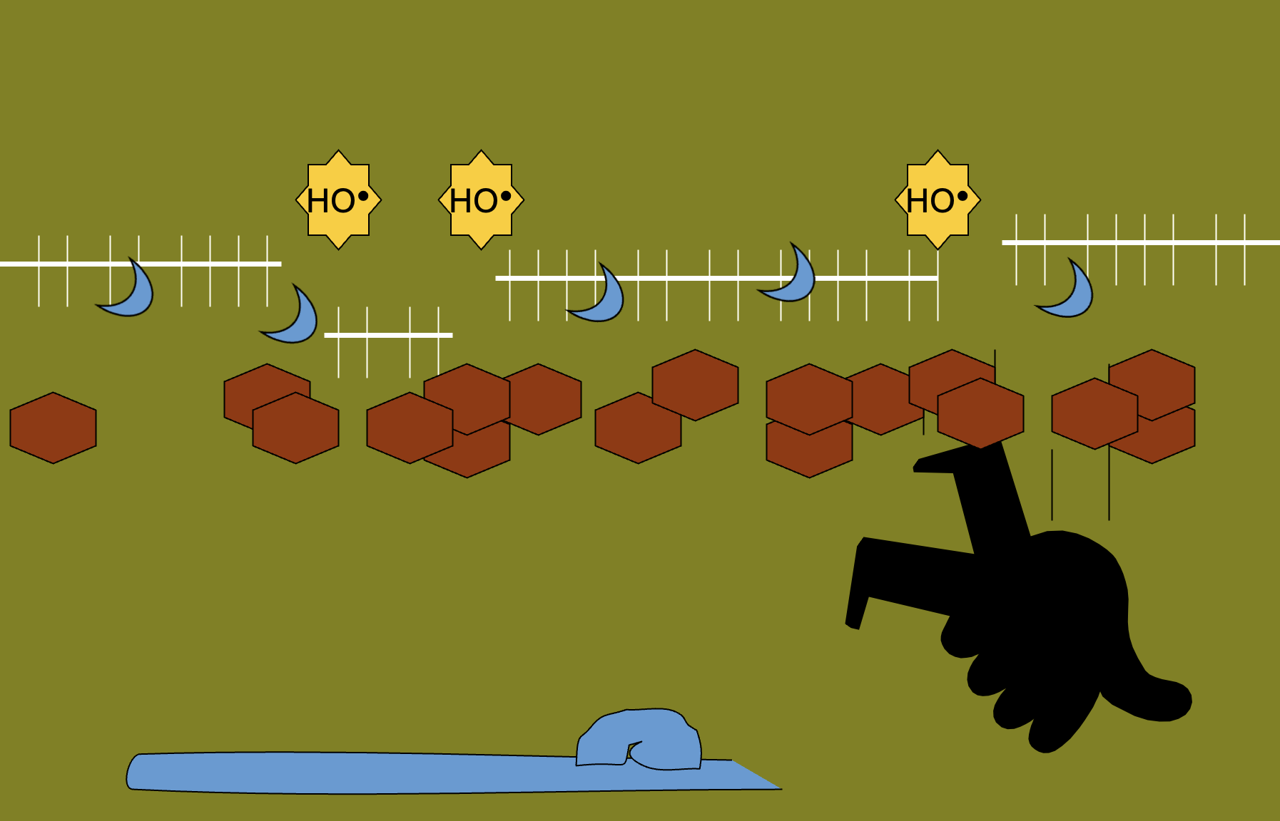 <p>hyphae colonize rays, then travel through wood cell lumens. Hyphae cross between cells via pits or bore holes, use extracellular matrix (ECM) to adhere to S3 layer. Use non-enzymatic decay first to make cellulose more accessible to cellulases.</p>