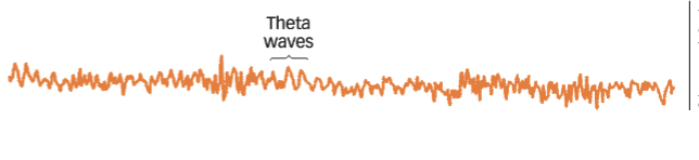<p>Light sleep, transition between awake &amp; asleep</p><p>Theta Waves - Slower &amp; more irregular than aplha or beta waves</p>