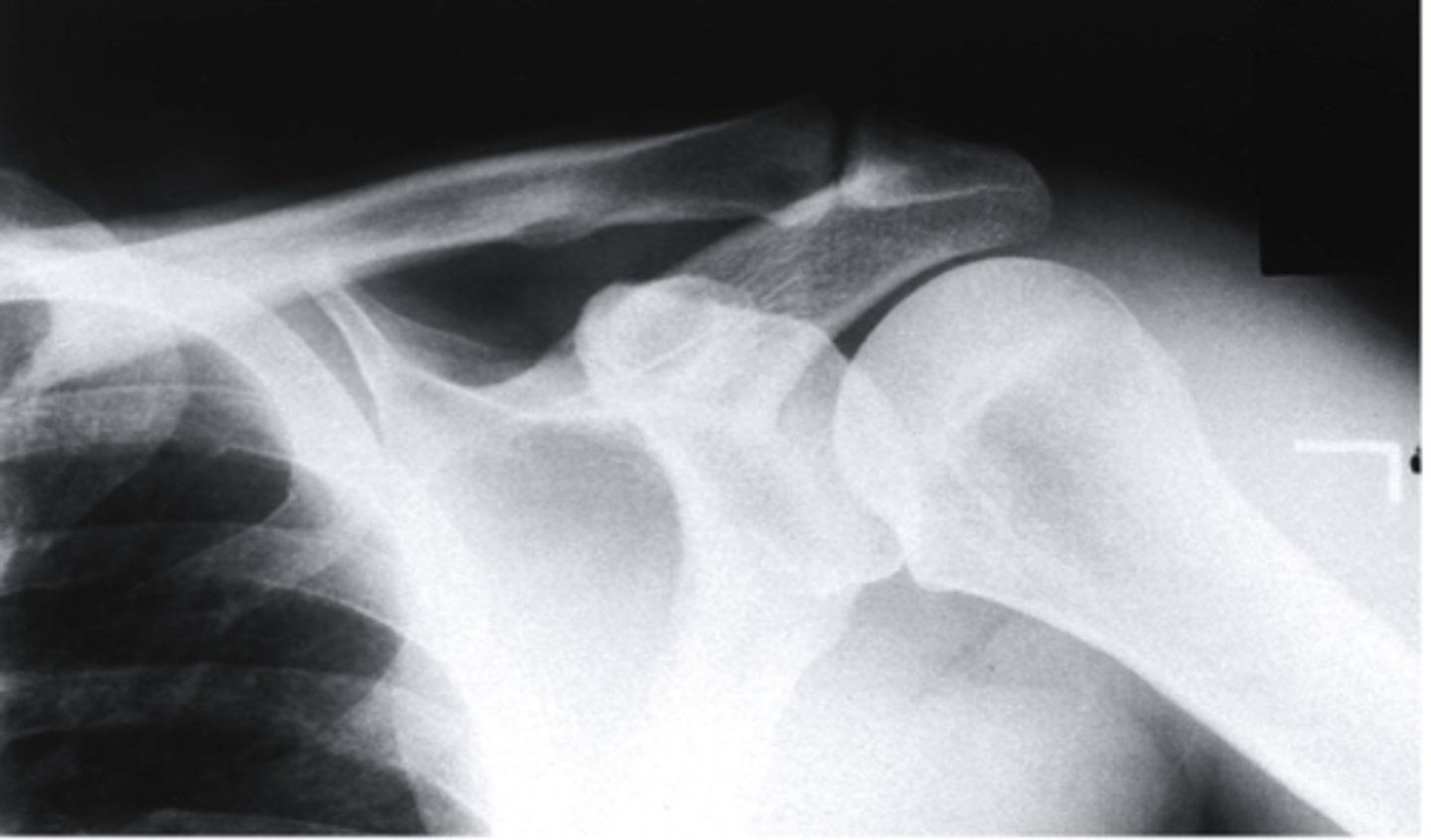 <p>what view is this?</p>