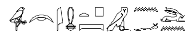 term image