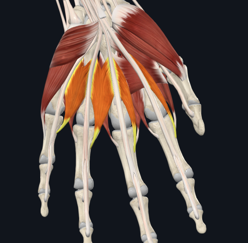 term image