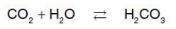 <p>Source of the protons that lower pH: The concentration of both H+ and</p><p>CO2 in the capillaries of metabolically active tissues is higher than that</p><p>observed in alveolar capillaries of the lungs, where CO2 is released</p><p>into the expired air. In the tissues, CO2 is converted by zinc-containing ___ to carbonic acid</p>