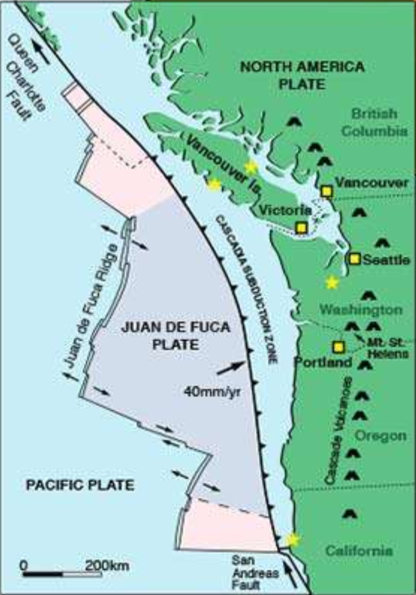 <p>where is the transform fault boundary?</p>