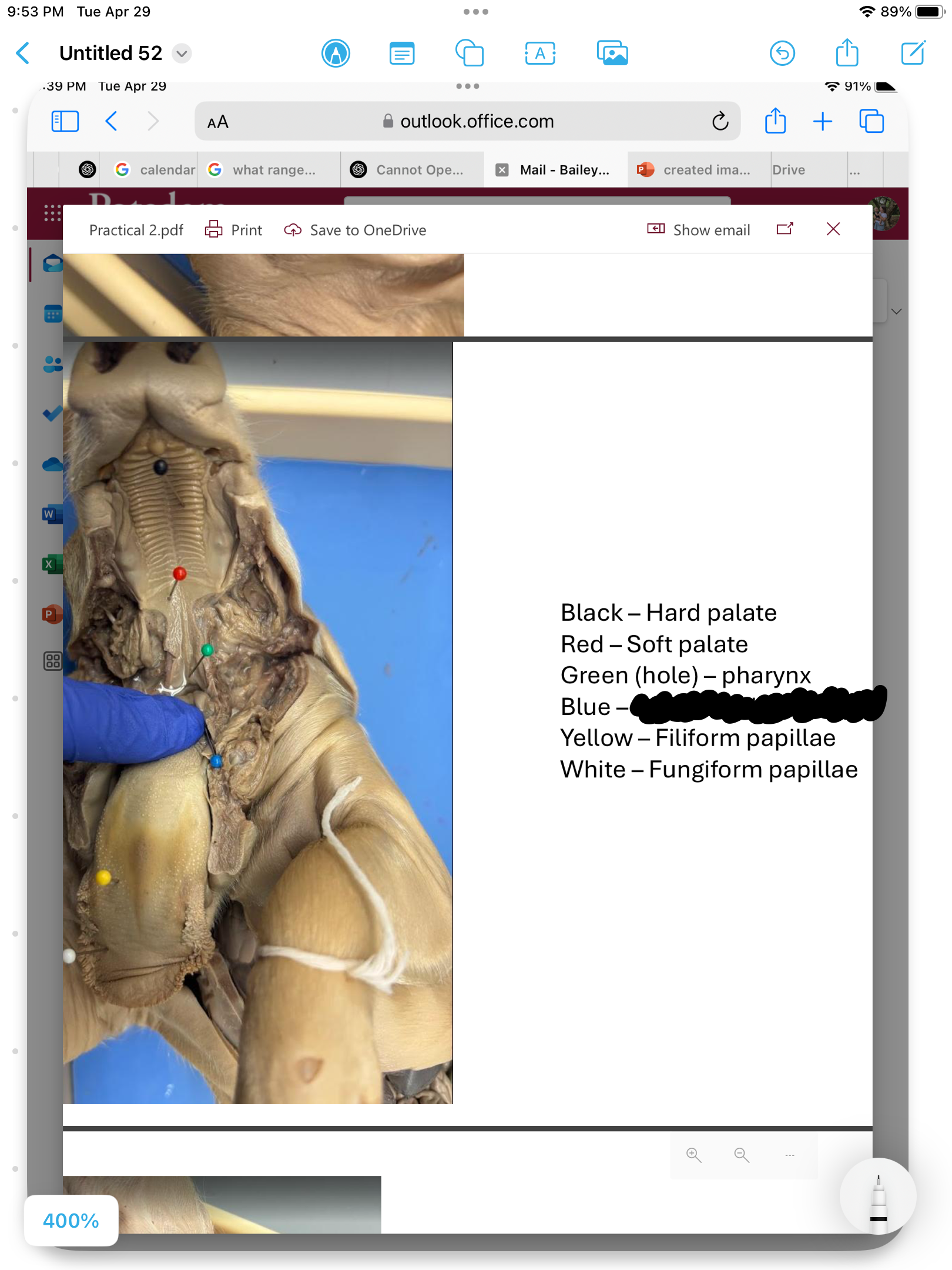 <p>label the area</p>