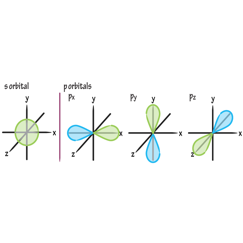 <p>Dumbbell-shaped; 3 per shell (either px, py, pz) at right angles; lobes increase with higher <em>n</em>. The px, py and pz orbital all make up the p subshell</p>