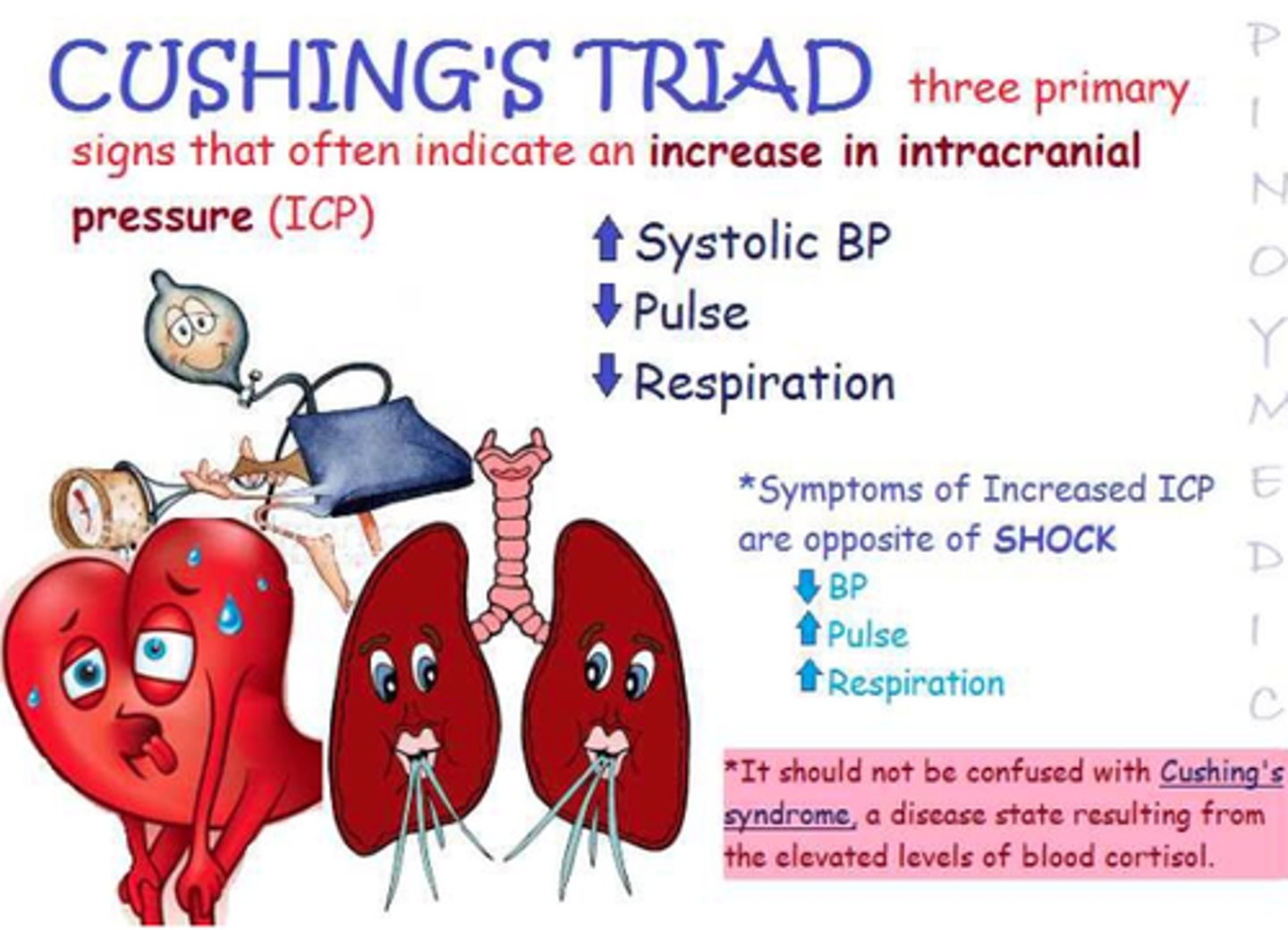 <p>Signs of increased intracranial pressure:</p><p>1. hypertension</p><p>2. bradycardia</p><p>3. irregular respirations</p>