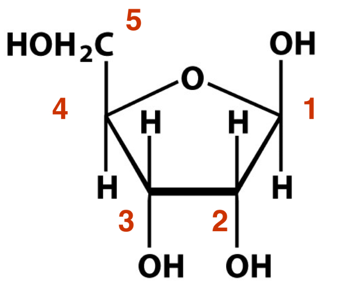 <p>What is this sugar?</p>