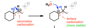 <p>In an SN1 reaction after carbocation formation:</p><p>A hydrogen atom from a higher order carbon atom will shift to the charged carbon</p><p>Therefore the anion will bond to the higher order carbons </p><p>Makes it more stable</p>