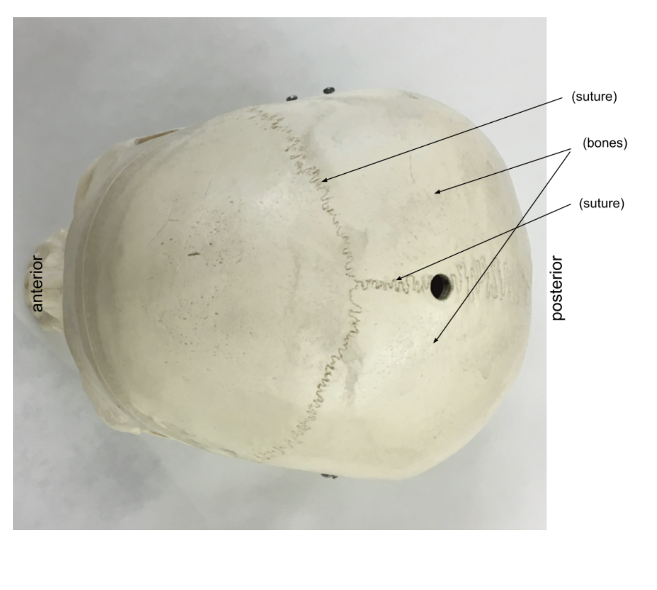 <ol><li><p></p></li><li><p></p></li><li><p></p></li></ol><p></p>