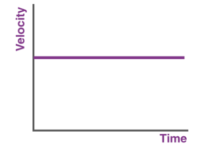 <p>what is this graph showing</p>