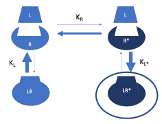 <ul><li><p class=""><strong>Equilibrium</strong> exists between the <strong>inactive (R)</strong> and <em>active (R)</em>* states of the receptor.</p></li><li><p class="">The number of receptors in the <em>active state (R)</em>* determines the <strong>biological effect/response</strong>.</p></li><li><p class=""><strong>Agonist (L)</strong> has a much higher affinity for the <em>active state (R)</em>* and a limited affinity for the <strong>inactive state (R)</strong>.</p></li><li><p class=""><strong>Ligand binding</strong> stabilises the <em>active state (R)</em>*, shifting the equilibrium <strong>rightward</strong>—more receptors become active, resulting in a <strong>greater biological effect</strong>.</p></li><li><p class="">High <strong>ligand concentrations</strong> can shift nearly all receptors to the <em>active state (R)</em>*, producing a <strong>strong response</strong>.</p></li></ul><p></p>