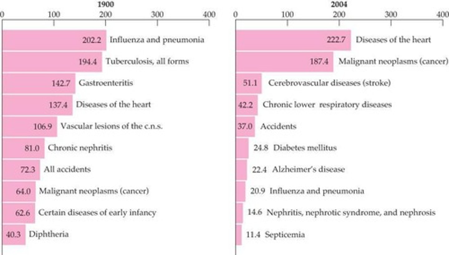 <p>A shift from infectious diseases to chronic illnesses.</p>