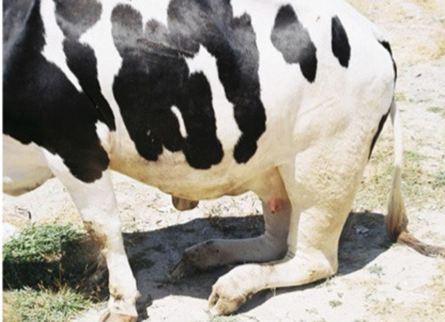 <p>What is this?</p>