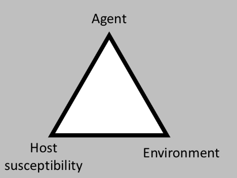 <p>A way of thinking about causality in communicable disease.</p><p>Encourages thinking about inter-relationship of agent, host, environment</p><p>Well-suited to communicable disease. </p>