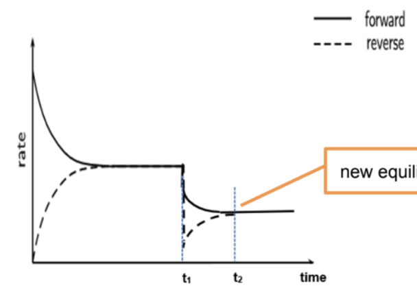 <ul><li><p><span>Since the rates of both forward and backward reactions decrease, equilibrium is reached after a longer time</span></p></li></ul><p></p>