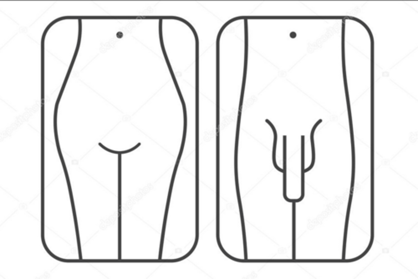 <p>The ______ are the parts of the male and female bodies that are involved in the process of reproduction.</p>