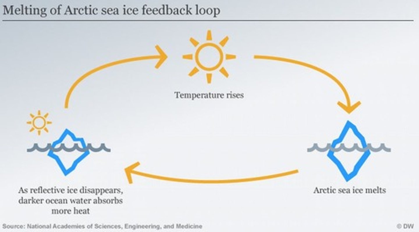 <p>Processes like thawing permafrost that release methane, accelerating warming further.</p>