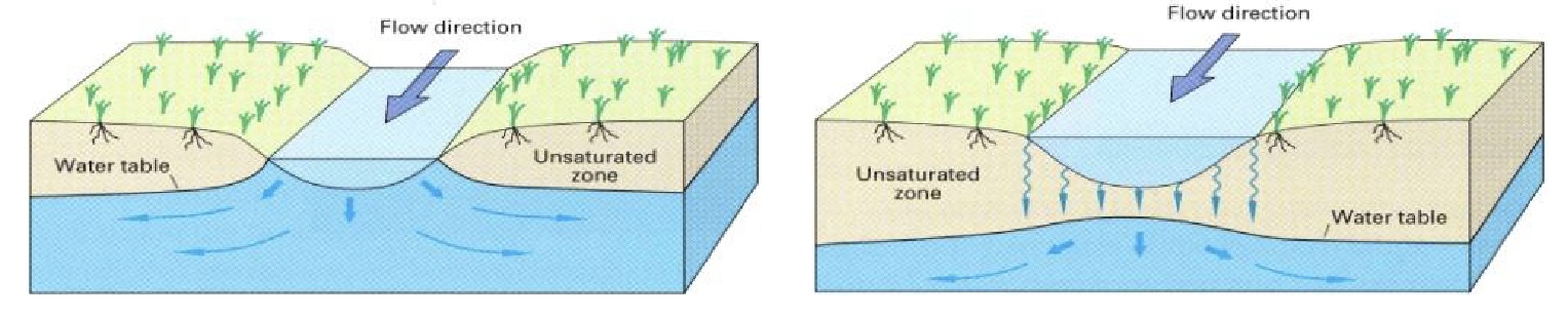 <p>Stream-Groundwater Interaction:</p><ul><li><p>lower elevation of water table</p></li><li><p>water from streambed follow down to groundwater</p></li><li><p>can be connected ot disconnected</p></li><li><p>provide water to the groundwater system</p></li><li><p>(disconnected) may form a buldge in the water table when it is separated from the groundwater system by the unsaturrated zone</p></li></ul>