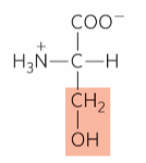 <p>What is this?</p>