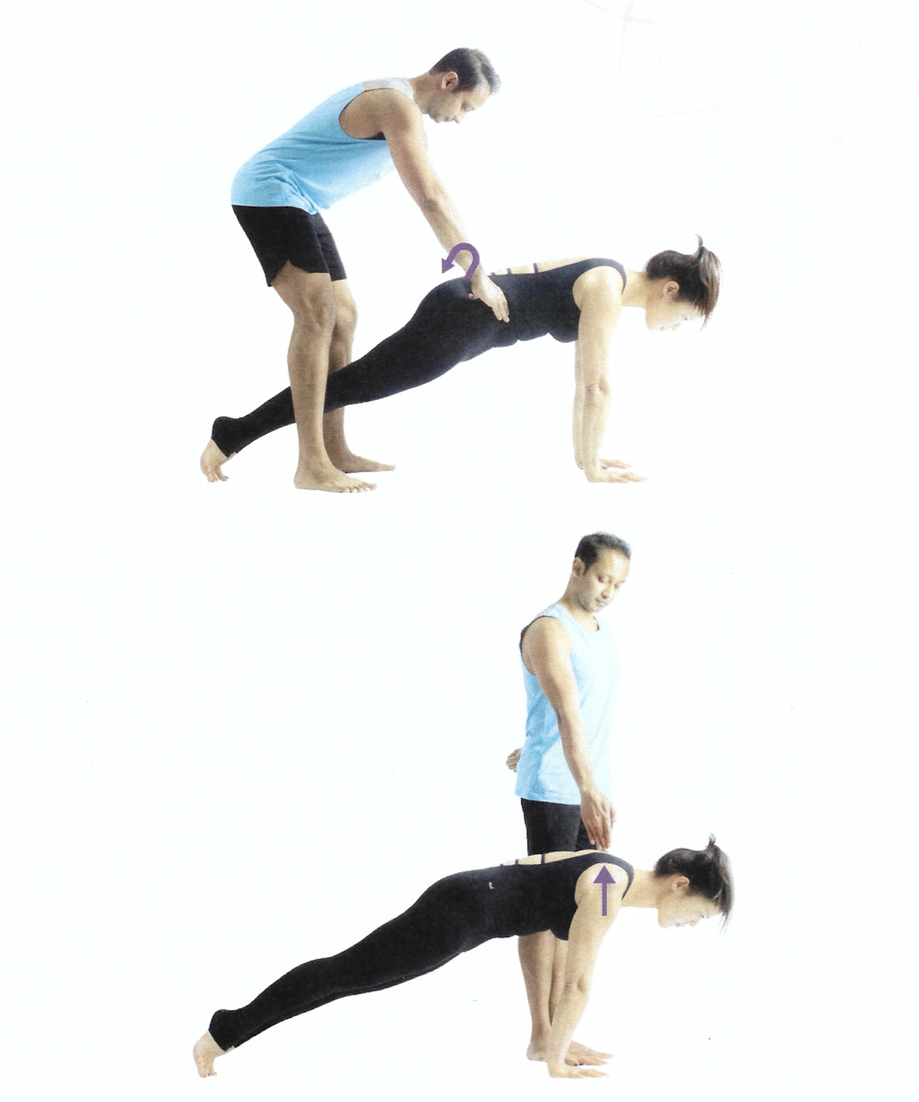 <p>Plank Pose</p>