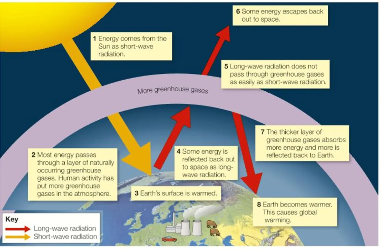 <p>only started happening after human intervention - not a natural process</p><p>occurs thanks to human processes putting more greenhouse gasses into the atmosphere than occur naturally. this makes the layer of greenhouse gasses thicker meaning more of the sun’s energy is trapped by them and the earth’s temperature increases, causing climate change</p>