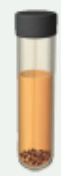 <p>bottom of tube, no O2</p><p>lack enzymes to neutralize O2</p>