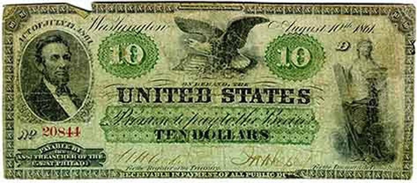 <p>Name given to paper money issued by the government, so called because the back side was printed with green ink. They were not redeemable for gold. (p 302)</p>