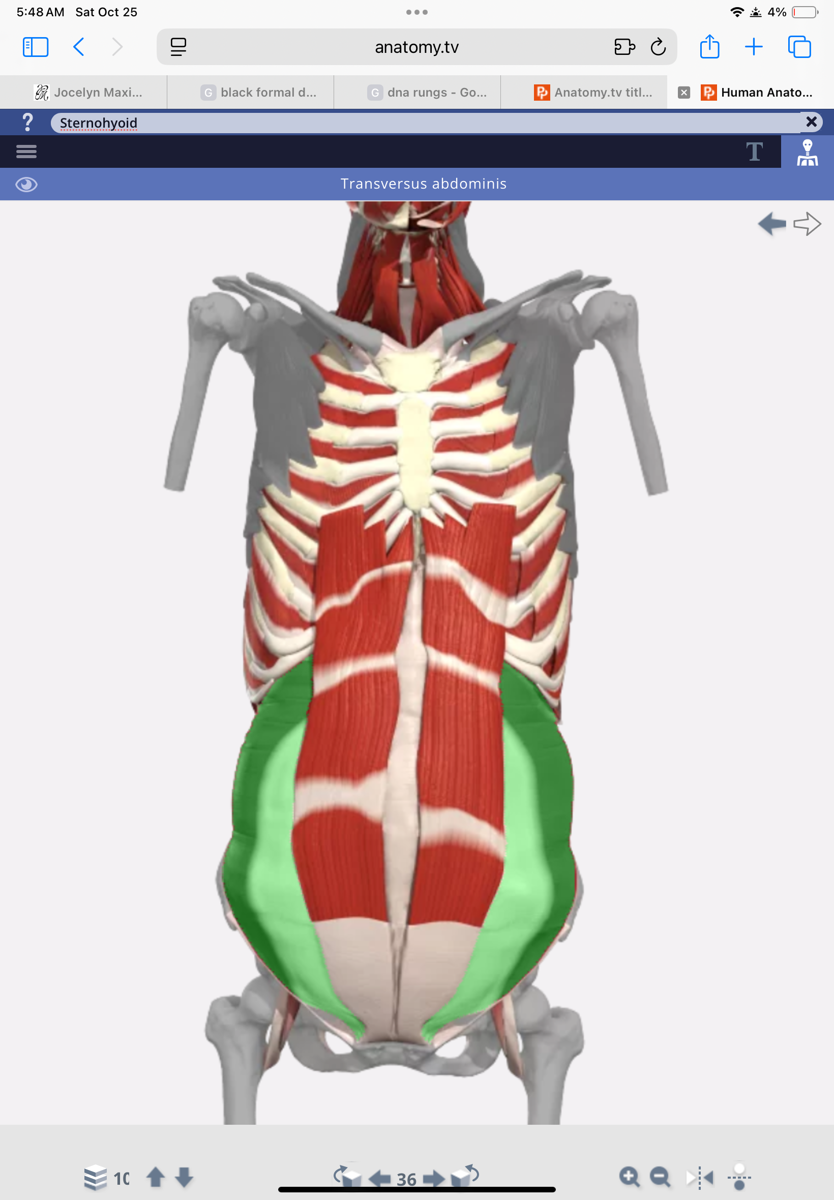 knowt flashcard image