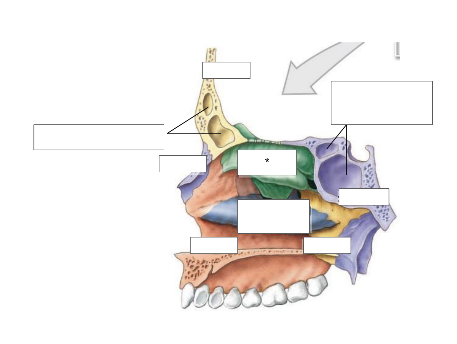 term image
