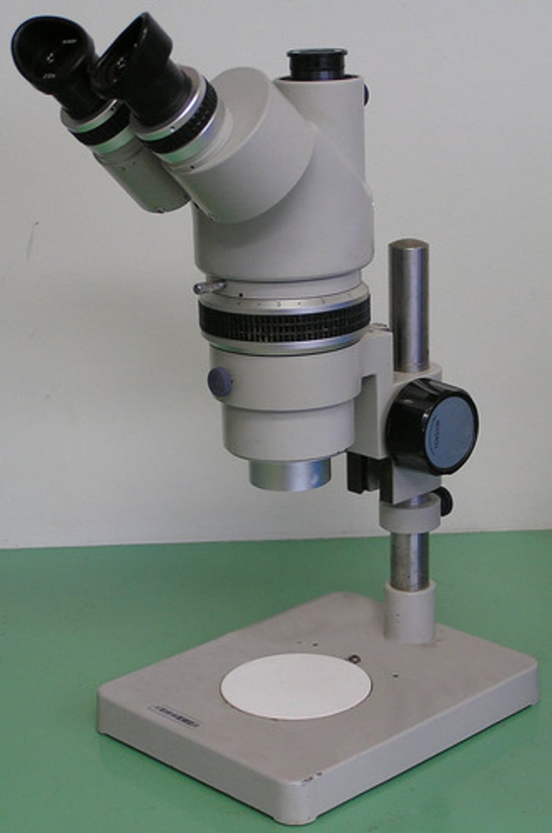 <p>stereo-microscopes (dissection microscopes)</p>