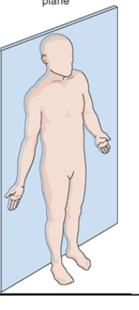 <p>frontal planes passing through the body dividing it into anterior and posterior portions. these planes are at right angles (90 degrees) the the median and sagittal planes</p>
