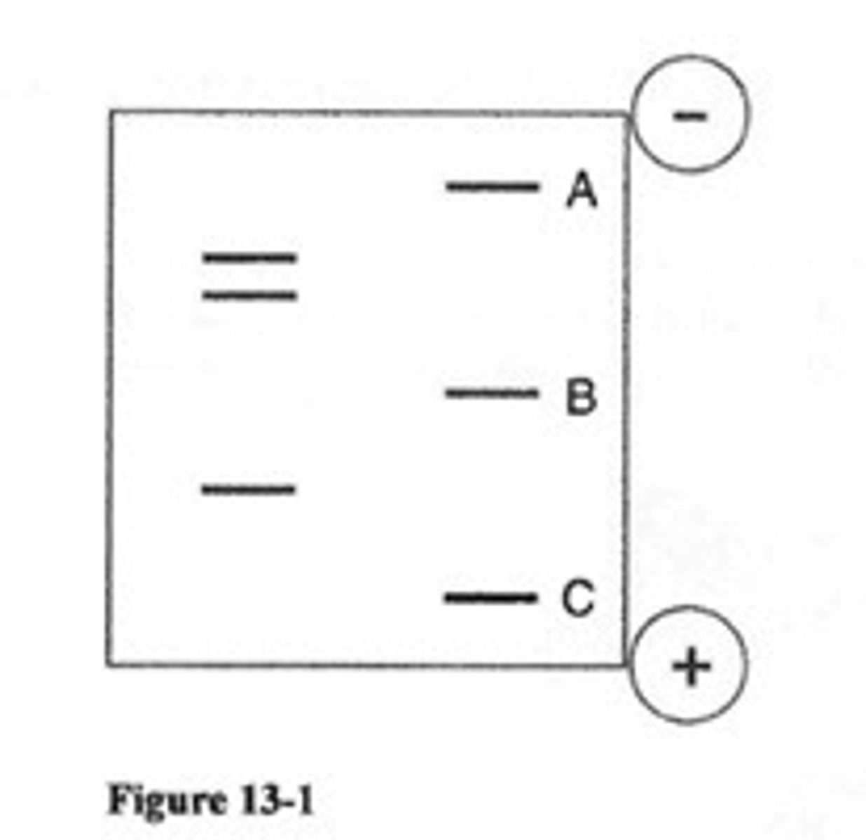 <p>A line seen in the gel after running gel electrophoresis that corresponds to a collection of DNA fragments of a specific size.</p>