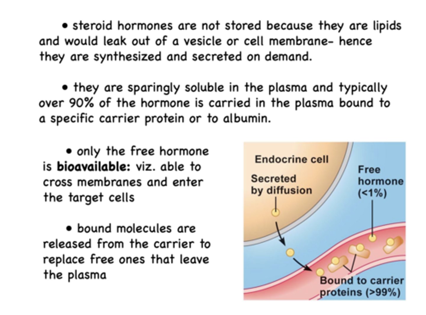 <p>free (bound molecules are released from carrier proteins to replace free hormones)</p>