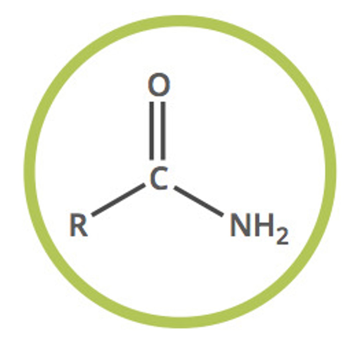 <p>Oxygen double bonded to a carbon</p><p>Terminal nitrogen bonded to 2 hydrogens</p>
